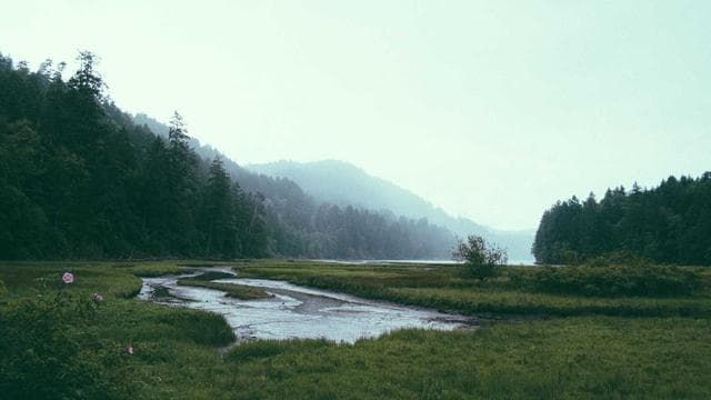 Ultimate Compilation